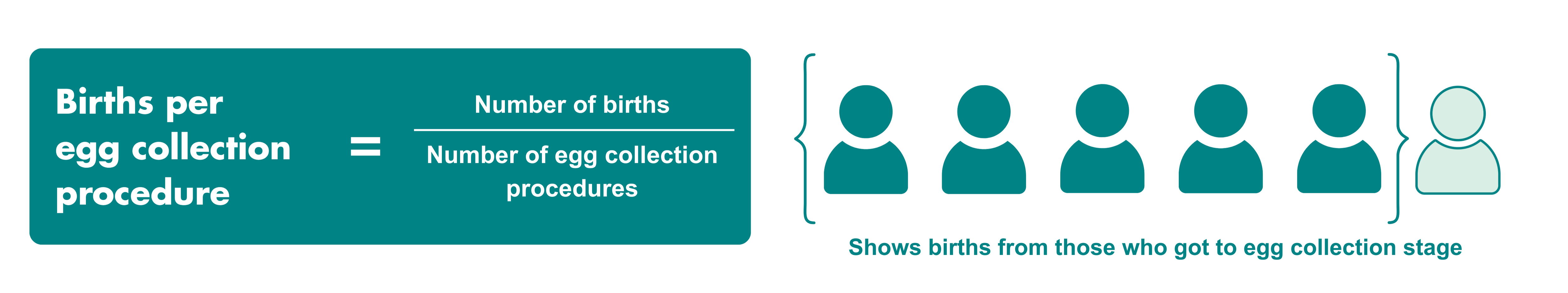 Births per egg collection procedure.